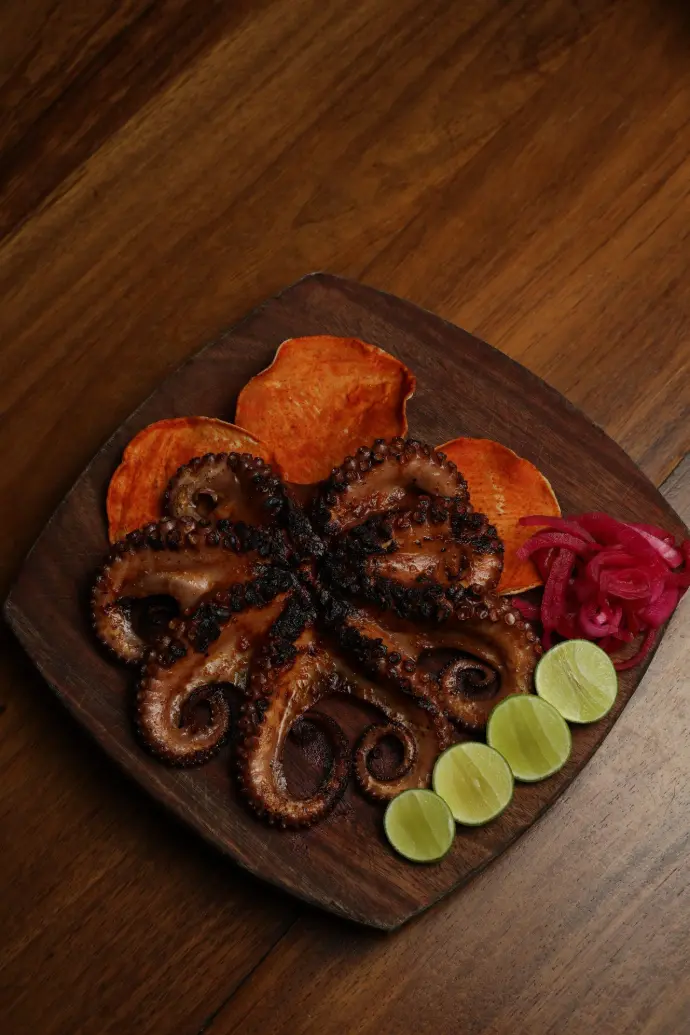 Fotografía Profesional | TISOTEC®