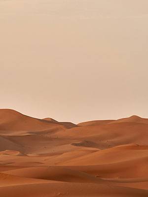 Fotografía Profesional | TISOTEC®